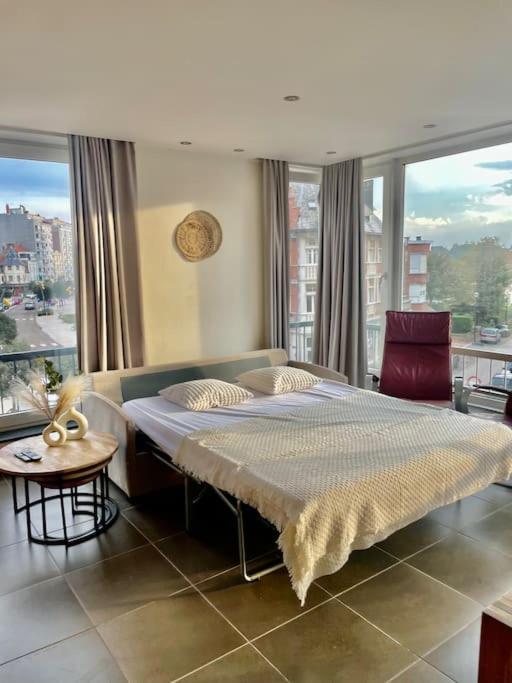 Appartement Centrum Van デ パンネ エクステリア 写真